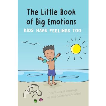 Big Book of Feelings