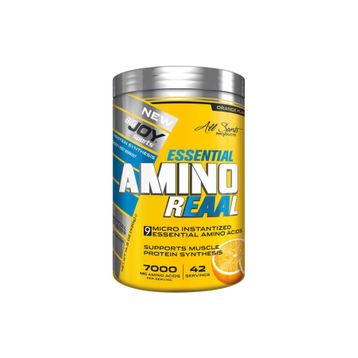 Bigjoy 420 Gr Portakal Essential Amino Reaal