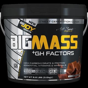 Bigjoy Big Mass 3000 Gr Çikolata Gh Factors
