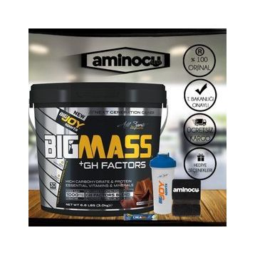 Bigjoy Big Mass 3000 Gr Çikolata Gh Factors