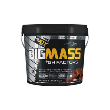Bigjoy Big Mass 3000 Gr Çikolata Gh Factors