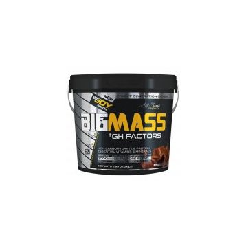 BigJoy Sports BIGMASS Gainer + GH FACTORS Muz 3000 gr