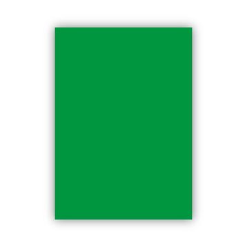 Bigpoint 50x70 cm 120 gr Koyu Yeşil Fon Kartonu