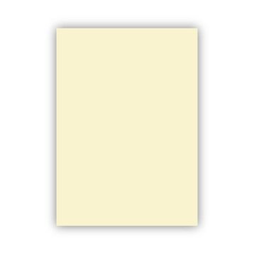 Bigpoint 50x70 cm 160 gr 100'lü Fildişi Fon Kartonu