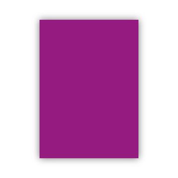 Bigpoint 50x70 cm 160 gr 100'lü Mor Fon Karton