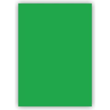 Bigpoint 50x70 CM 160 GR 100LÜ Yeşil Fon Kartonu