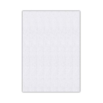 Bigpoint 50x70 cm 2 mm Beyaz 10'lu Keçe