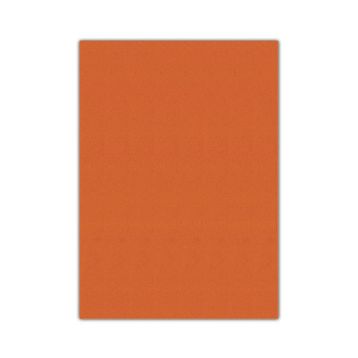 Bigpoint 50x70 cm Turuncu 10'lu Eva
