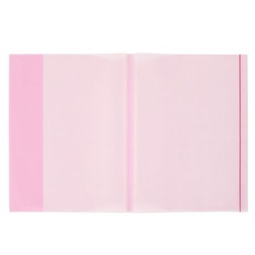 Bigpoint 5'li Paket 25'li Kutu Şeffaf Kırmızı A4 Hazır Defter Kabı