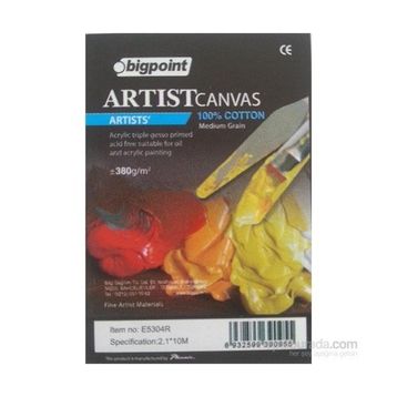 Bigpoint BPPE53043040 30x40 Artıst's Tual