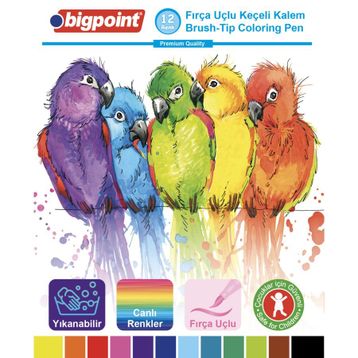 Bigpoint Plastik Kutulu 12'li Fırça Uçlu Keçeli Kalem Set