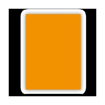 Bigpoint Turuncu 50x70 CM 160 GR 100'lü Fon Kartonu