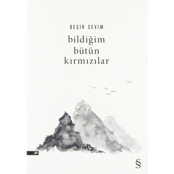Bildiğim Bütün Kırmızılar - Beşir Sevim