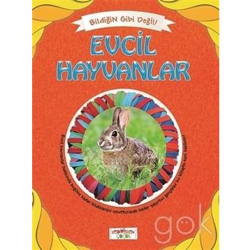 Bildiğin Gibi Değil - Evcil Hayvanlar - Asena Meriç