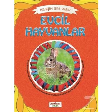 Bildiğin Gibi Değil - Evcil Hayvanlar - Asena Meriç