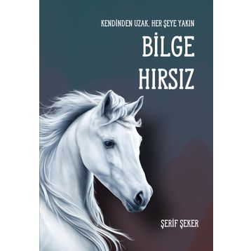 Bilge Hırsız - Şerif Şeker