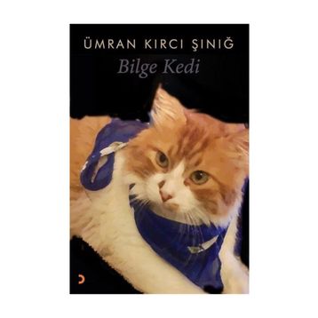 Bilge Kedi - Ümran Kırcı Sınığ