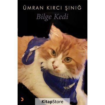 Bilge Kedi - Ümran Kırcı Sınığ