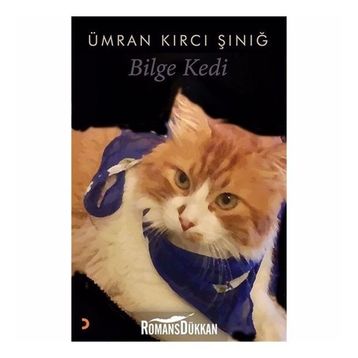 Bilge Kedi - Ümran Kırcı Sınığ