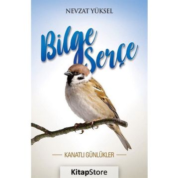 Bilge Serçe - Nevzat Yüksel