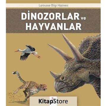 BILGI HAZINESI - DINOZORLAR - JULIA BRUCE