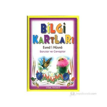 Bilgi Kartları Sorular ve Cevaplar - Mürşide Uysal