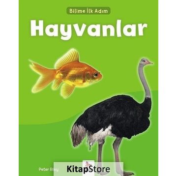 Bilime İlk Adım - Hayvanlar - Peter Riley