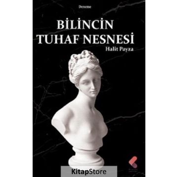 Bilincin Tuhaf Nesnesi - Halit Payza