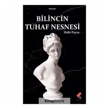 Bilincin Tuhaf Nesnesi - Halit Payza