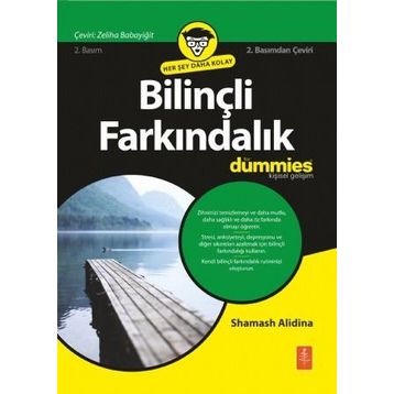 Bilinçli Farkındalık For Dummies - Shamash Alidina