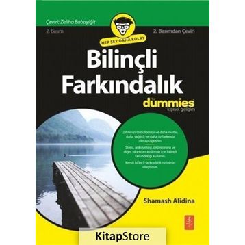 Bilinçli Farkındalık For Dummies - Shamash Alidina
