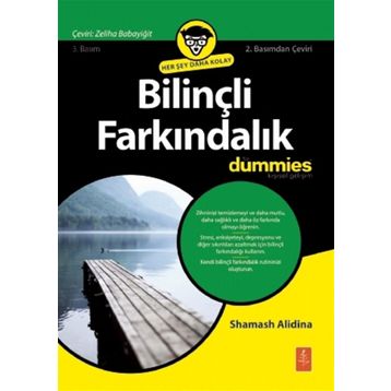 Bilinçli Farkındalık - Shamash Alidina