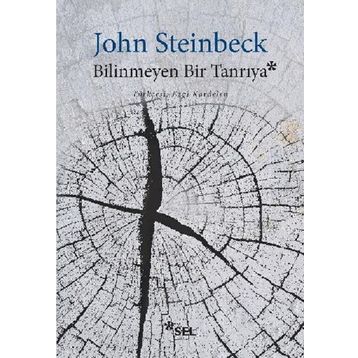 Bilinmeyen Bir Tanrıya - John Steinbeck