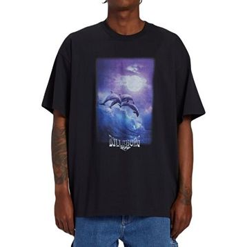 Billabong ABYZT02283 Dolphin Love Siyah Erkek T-shirt