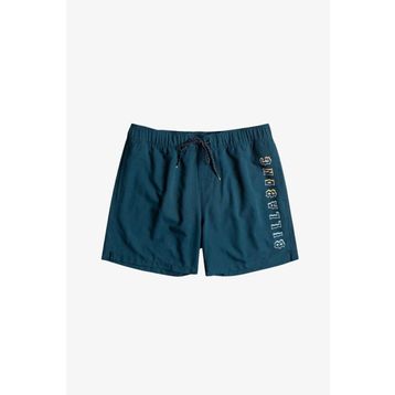 Billabong EBYJV00105-NVY All Day Heritage Lb Erkek Lacivert Deniz Şortu