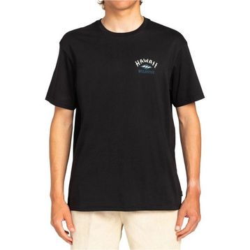 Billabong EBYZT00107-BLK Arch Dreamy Place Ss Siyah Erkek T-shirt
