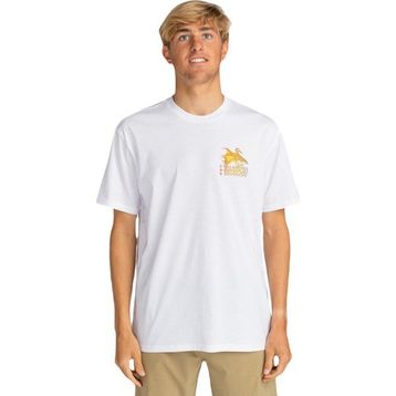 Billabong EBYZT00176 Siyah Fauna Ss Erkek T-Shirt