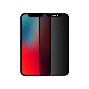 Binano Privacy Antidust iPhone 12/12 Pro Ekran Koruyucu