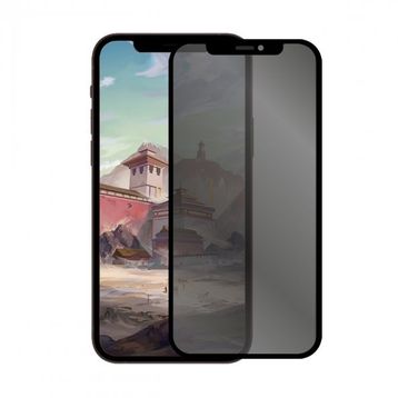Binano Privacy Antidust Matte Iphone 13 Mini Ekran Koruyucu