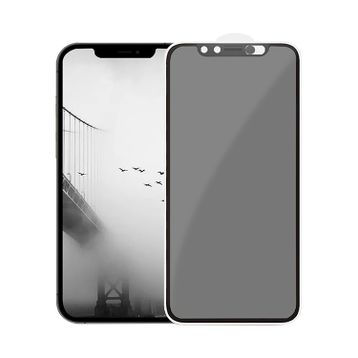 Binano Privacy iPhone 13 Mini Şeffaf Ekran Koruyucu