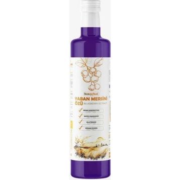 Binnebat 700 gr Yaban Mersini Özü