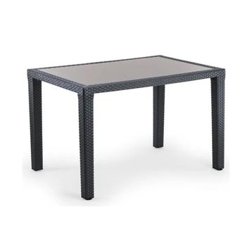 Bintaş Mobilya Antrasit 120x80 cm Bahçe Masası