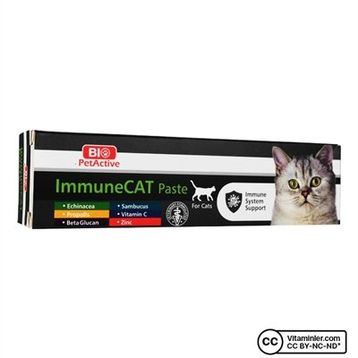 Bio PetActive 100 ml Immune Cat Kedi Macunu