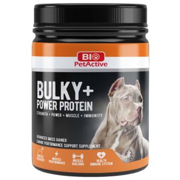 Bio PetActive 368 gr Bulky Power Protein Tozu