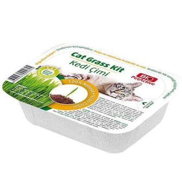 Bio PetActive Grass Kit Naturel Kedi Çimi