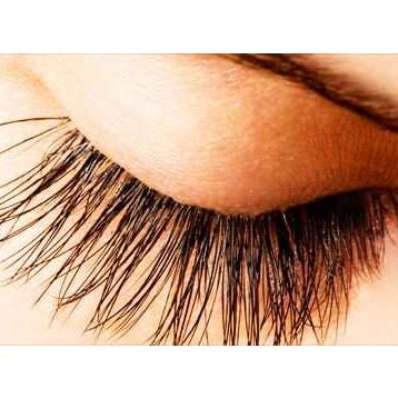 Bio Vitals Kaş Kirpik Bakım Yağı