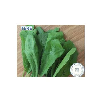 Biogen 25 gr 1 Paket Tere Tohumu