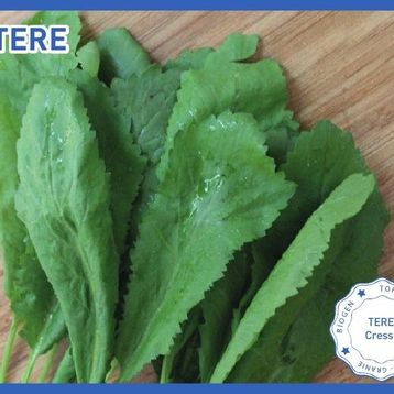 Biogen 25 gr 1 Paket Tere Tohumu