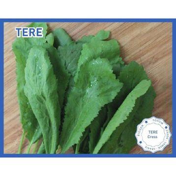 Biogen 25 gr 1 Paket Tere Tohumu