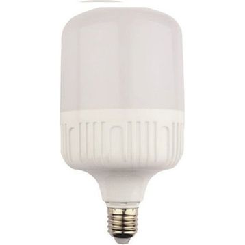 Bioled 20 W Torch Ampül